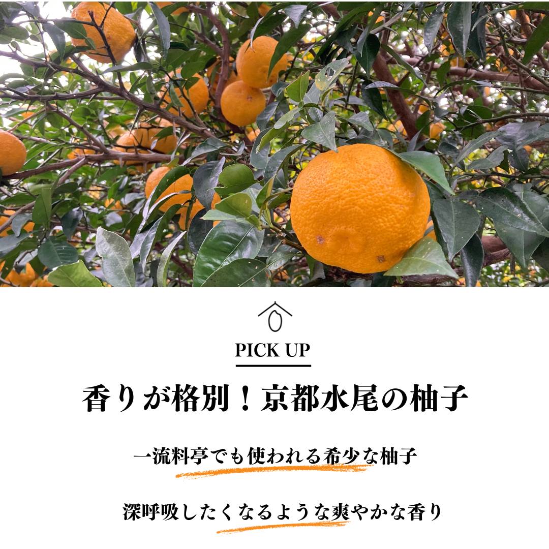 YUZU -水尾の柚子-（2025年リニューアル） – AMAZAKE HOUSE